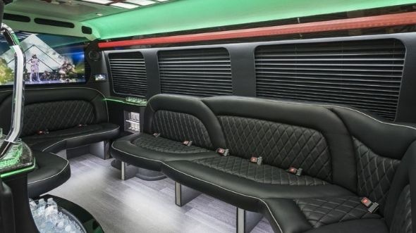 hendersonville sprinter limo rental interior